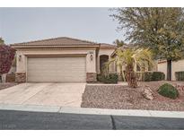 Charming single-story home with a two-car garage and well-maintained front yard landscaping at 10580 Riva Grande Ct, Las Vegas, NV 89135