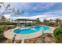 Backyard pool featuring a covered patio with outdoor seating, surrounded by mature landscaping at 6915 Cedar Basin Ave, Las Vegas, NV 89142