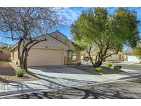 Charming single-story home with a two-car garage, mature trees, and desert landscaping at 11053 Cusumano Ct, Las Vegas, NV 89141