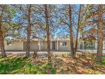 Charming single-story home with well-maintained landscaping and mature trees in a quiet neighborhood at 1911 Jarvis Rd, Pahrump, NV 89060