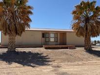 Single-story home with palm trees and desert landscaping at 675 Stevens Ave, Overton, NV 89040