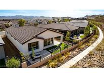 Stunning rear view featuring a cozy patio, lush landscaping, and elegant hardscaping at 59 Desert Ivy Ln, Henderson, NV 89011