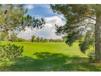 Scenic golf course view with lush green grass and mature trees under a blue sky at 7760 Pine Warbler Way, North Las Vegas, NV 89084