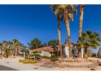 Charming single-story home featuring a meticulously landscaped front yard with mature palm trees at 9524 Quail Ridge Dr, Las Vegas, NV 89134