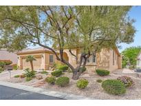 Charming single-story home with a well-manicured desert landscape, mature trees, and a two-car garage at 4187 Pacifico Ln, Las Vegas, NV 89135