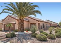 Charming single-story home with desert landscaping, including a beautiful palm tree at 2509 Libretto Ave, Henderson, NV 89052
