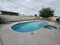 Backyard pool with lounge chairs and a mature shade tree creating a private oasis at 1338 Smoke Tree Ave, Las Vegas, NV 89108