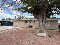Single-story home with mature tree and desert landscaping in front at 1331 Smoke Tree Ave, Las Vegas, NV 89108