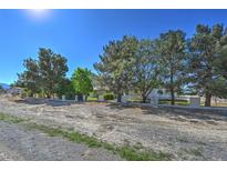Scenic front yard features mature trees, concrete fence posts and gravel landscaping at 481 Jarvis Rd, Pahrump, NV 89060
