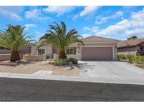 Charming single-story home featuring a two-car garage and mature landscaping with palm trees at 2349 Orangeburg Pl, Henderson, NV 89044