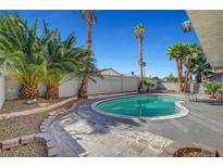 Backyard pool surrounded by palm trees and well-maintained landscaping at 3791 El Camino Rd, Las Vegas, NV 89103
