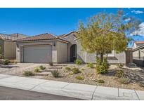 Charming single story home with a two car garage and appealing low maintenance desert landscaping in front at 10456 Skye Arroyo Ave, Las Vegas, NV 89166