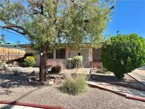 Charming single-story home featuring a secure screen door, mature landscaping, and a welcoming front yard at 4420 Avondale Ave, Las Vegas, NV 89121