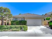 Charming single-story home with a two-car garage and mature landscaping at 10389 Walking View Ct, Las Vegas, NV 89135