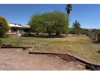 Expansive front yard with mature trees and desert landscaping, perfect for outdoor activities and relaxation at 810 Catherine Ave, Overton, NV 89040