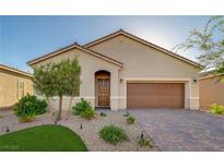 Charming single-story home with a well-maintained front yard and inviting curb appeal at 10251 Tiger Milkweed St, Las Vegas, NV 89141