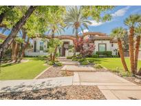 Beautiful single-Gathering home with lush lawn, mature palm trees, and a stone walkway to the front door at 764 Ricota Ct, Henderson, NV 89012