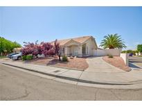 Charming single-story home with well-maintained landscaping and a welcoming driveway at 9091 W Viking Rd, Las Vegas, NV 89147