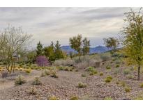 Desert community landscape with trees and mountain views, offering a serene and natural environment at 12429 Alpenglow Ct, Las Vegas, NV 89138