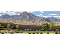 Scenic view of mountains behind a landscaped community space, showcasing the natural beauty of the location at 12429 Alpenglow Ct, Las Vegas, NV 89138