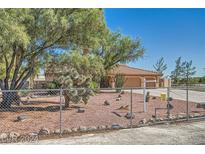 Single-story home with well-maintained front yard, mature trees, chain-link fence and desert-style landscaping at 5202 Willis St, North Las Vegas, NV 89031