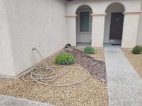 Landscaped front yard featuring stone accents, decorative plants and walkway to front door at 1006 Cove Palisades Dr, North Las Vegas, NV 89031
