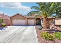Charming single-story home with a well-manicured front yard and attached two-car garage at 3913 Ricebird Way, North Las Vegas, NV 89084