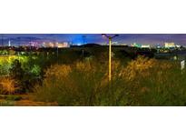 Scenic night view of the Las Vegas skyline from a residential area; the city lights up the horizon at 10470 Dove Meadow Way, Las Vegas, NV 89135