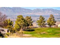 Expansive backyard view showcasing lush green grass, mature trees, and panoramic mountain vistas in a serene setting at 2702 Grand Forks Rd, Henderson, NV 89052