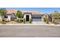 Beautiful single-story home with a well manicured front yard and a two car garage at 25 Red Creek Bluff St, Henderson, NV 89011