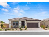 Charming single-story home featuring a well-maintained front yard and a two-car garage at 10127 Knotty Skye Ave, Las Vegas, NV 89166