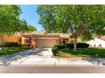 Charming one-story home with well-maintained landscaping and attached two-car garage at 8516 Millsboro Dr, Las Vegas, NV 89134