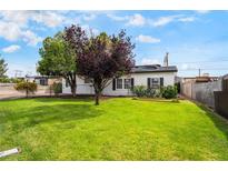 Charming single-story home with a well-manicured lawn and mature trees in a quiet neighborhood at 343 W Basic Rd, Henderson, NV 89015