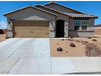 Charming single-story home with a low maintenance desert landscaped front yard and neutral-toned exterior at 3862 E Summit Ave, Pahrump, NV 89061