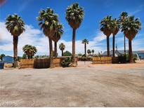 Desert landscape, fenced yard, mature palm trees in this rural Nevada residence at 542 Bonelli Ave, Overton, NV 89040