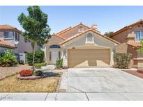 Charming single-story home featuring a well-maintained front yard and an attached two-car garage at 9520 Rancho Palmas Dr, Las Vegas, NV 89117