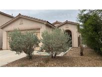 Charming single-story home with desert landscaping, covered entry, and attached two-car garage at 10780 Valencia Hills St, Las Vegas, NV 89141