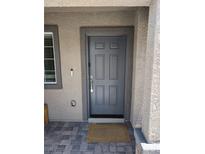 A modern gray front door featuring classic paneled design and modern hardware for a welcoming entrance at 5669 Steampunk St, Las Vegas, NV 89118