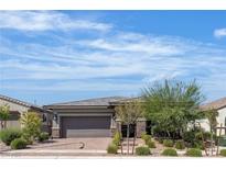 Charming single-story home boasts a well-manicured front yard and a two-car garage at 789 Drammatico Pl, Henderson, NV 89011