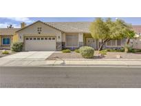Charming single-story home with a well-manicured yard and a two-car garage at 1408 Reebok Ter, Henderson, NV 89014