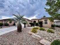 Charming single-story home with desert landscaping, palm trees, and a paved driveway at 10248 Maggira Pl, Las Vegas, NV 89135