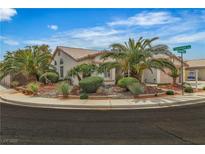 Charming single-story home with lush landscaping and mature palm trees in a well-maintained front yard at 6405 Break Point Ave, Las Vegas, NV 89130