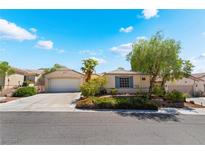 Charming single-story home featuring a two-car garage, landscaped front yard, and desert-friendly landscaping at 3029 Brownbirds Nest Dr, Henderson, NV 89052